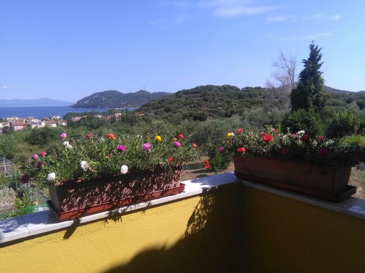 Martha'S Villa Nea Iraklitsa Exterior foto