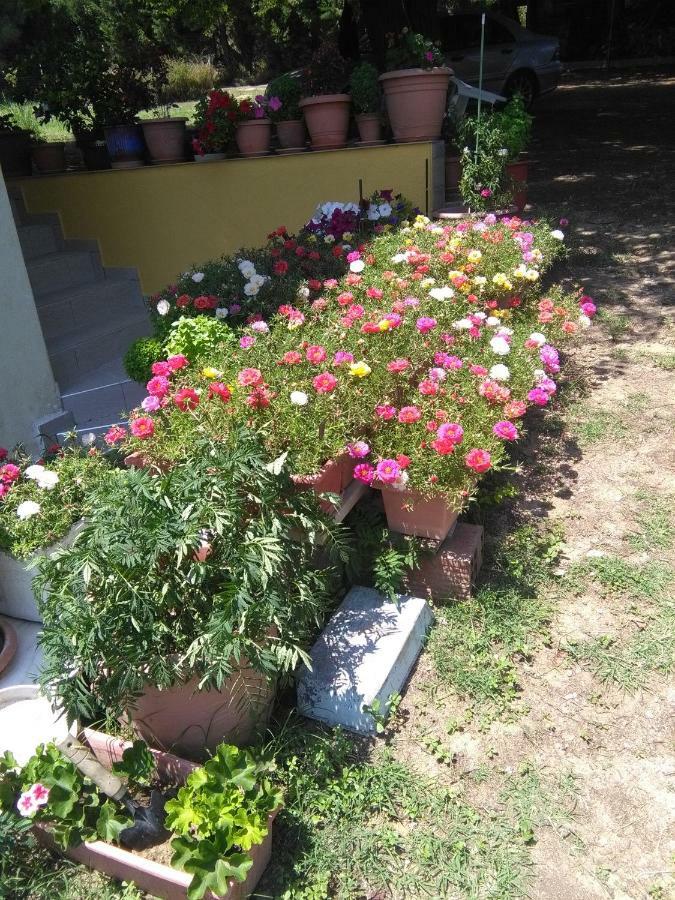 Martha'S Villa Nea Iraklitsa Exterior foto